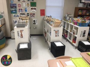 safari worksheets