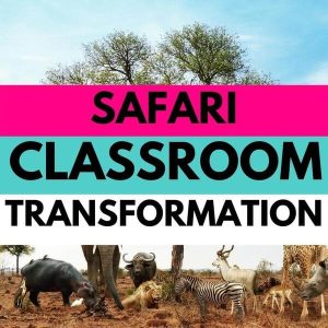 safari classroom transformation